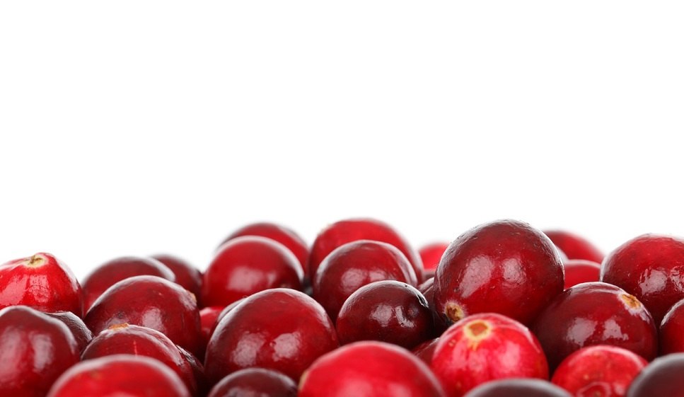 Schandelijk Onnauwkeurig kalender Biologische Cranberry (Veenbes) Kopen bij Superfoodsonline