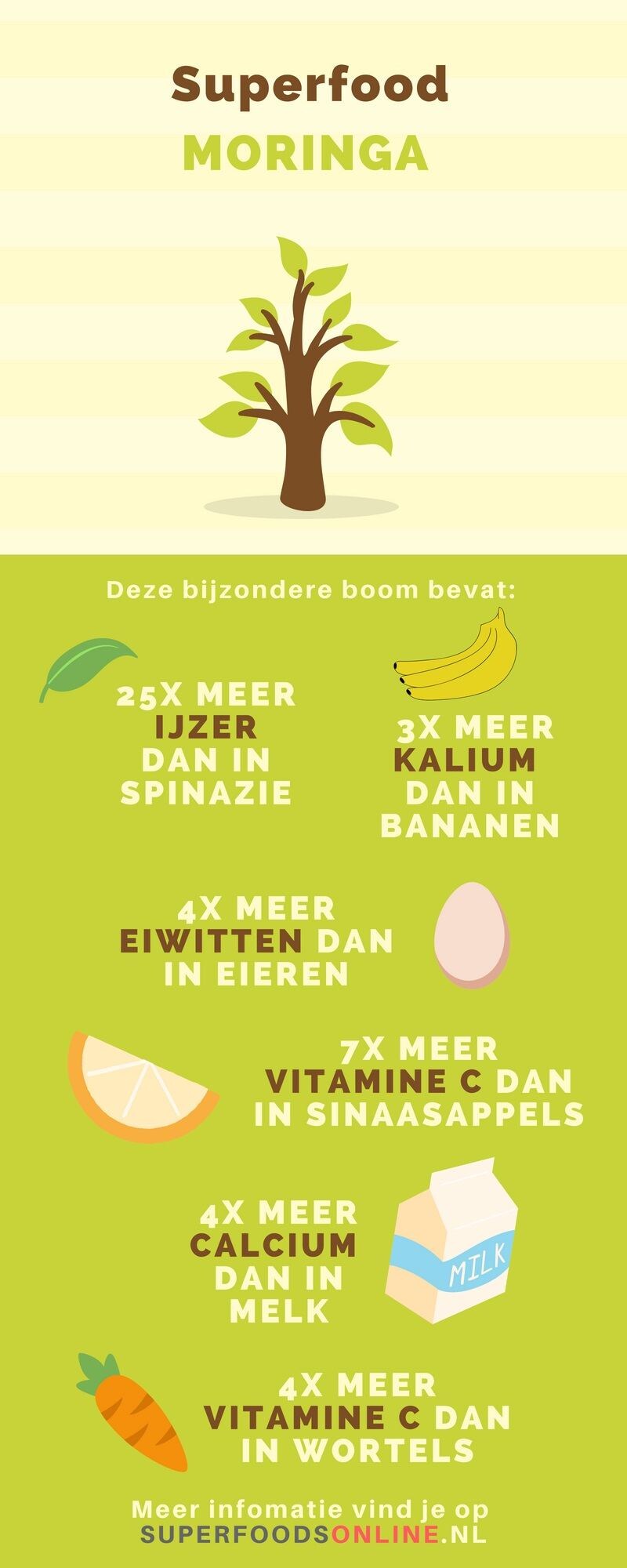 moringa-infographic